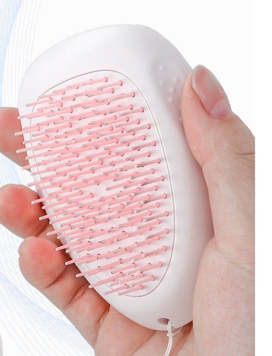 Cat Hair Brush