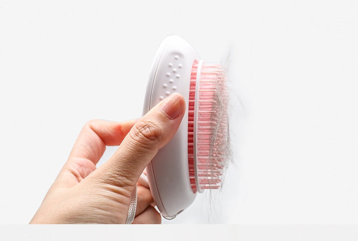 Cat Hair Brush