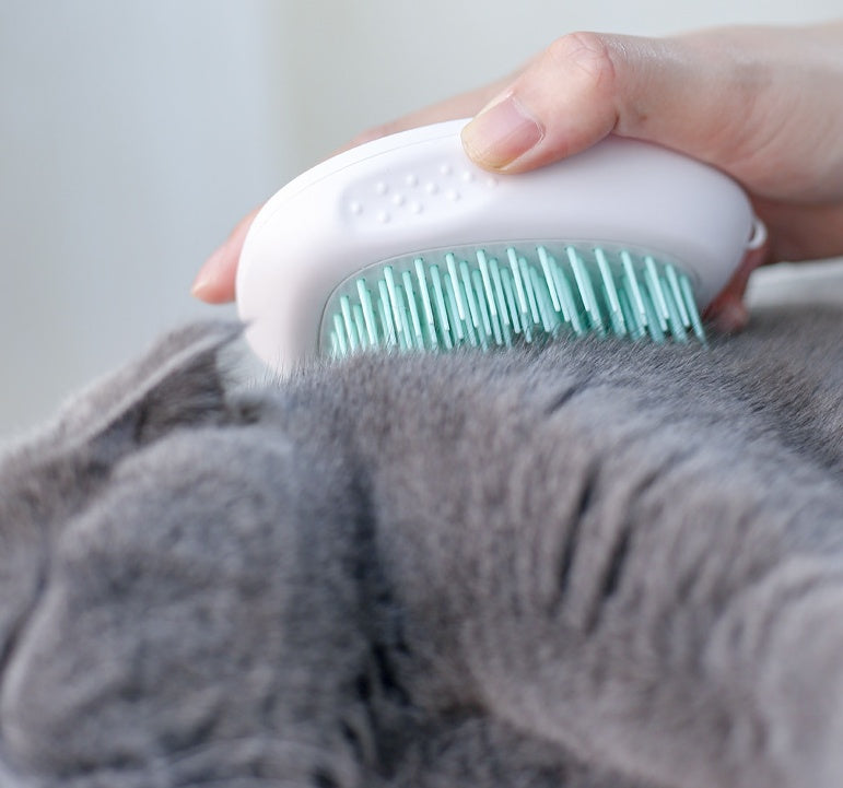 Cat Hair Brush