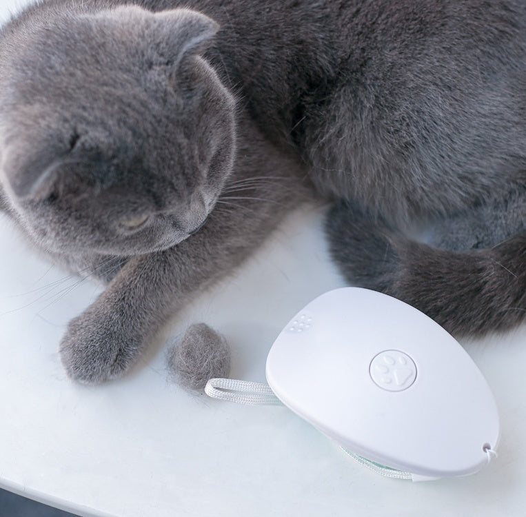 Cat Hair Brush