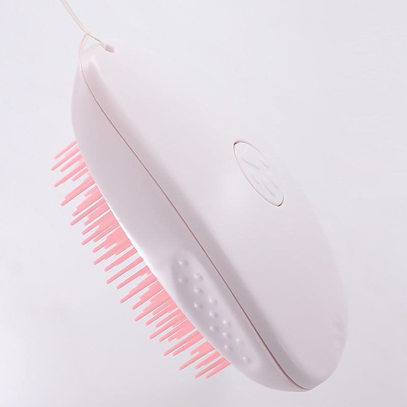Cat Hair Brush
