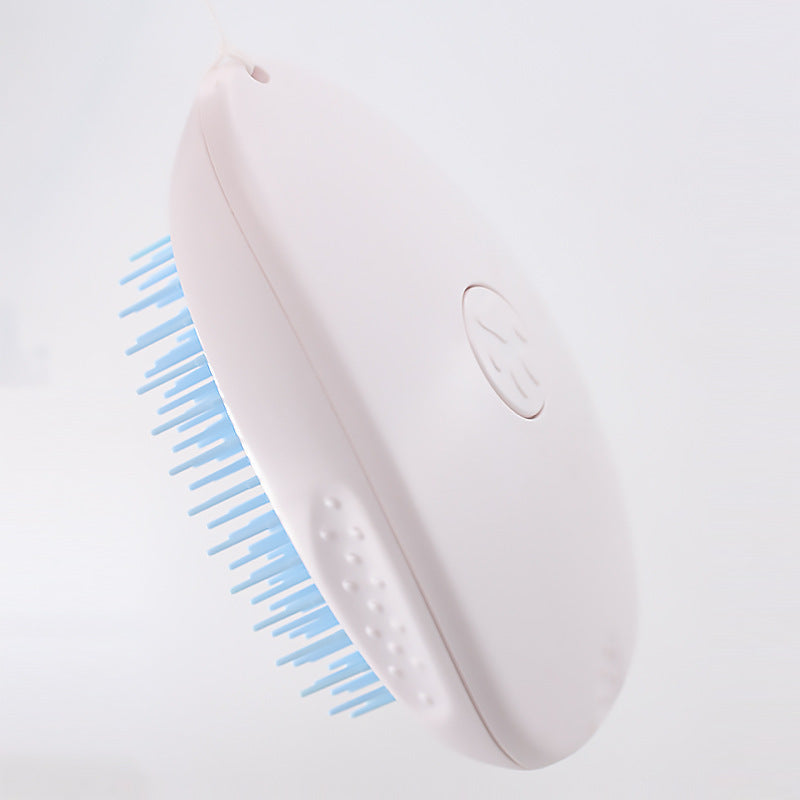 Cat Hair Brush