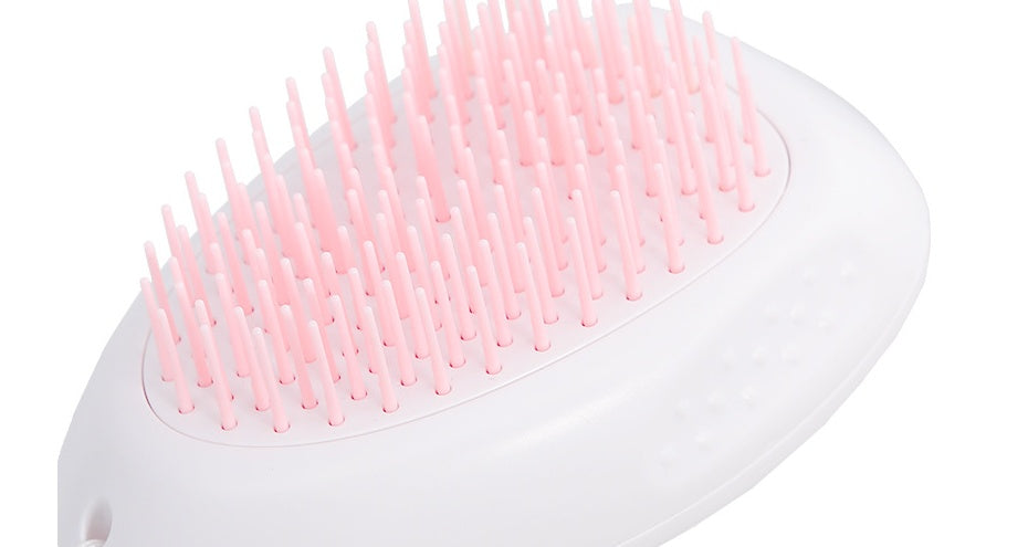 Cat Hair Brush